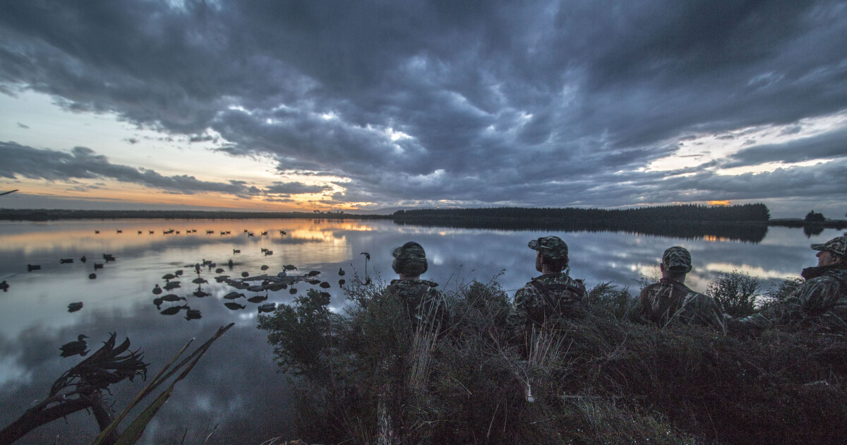 Set Safety in Your Sights This Duck Hunting Season — NZMSC