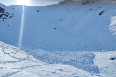 Thumbnail of CREDIT Ruari Macfarlane MSC Fox Peak avalanche