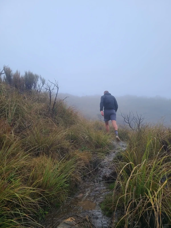 Tramper moving through low visibility on the Te Araroa in the Tararua National Park