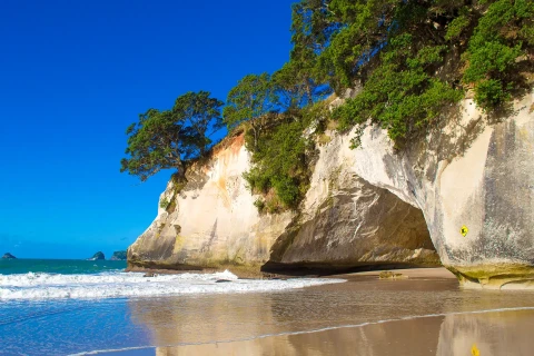 Thumbnail of Archway at Mautohe Cathedral Cove | PHOTO Daniel Fernandes de Oliveira 