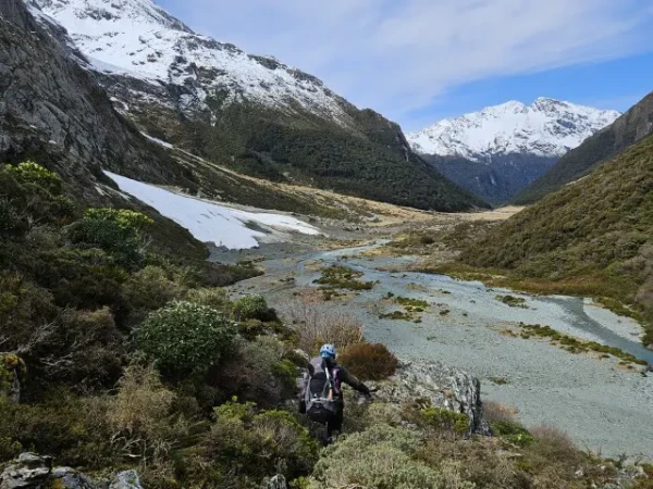 Nearing a valley floor avalanche in the Routeburn North Branch