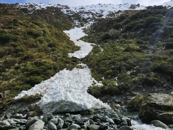 Valley floor avalanche in the Routeburn North Branch