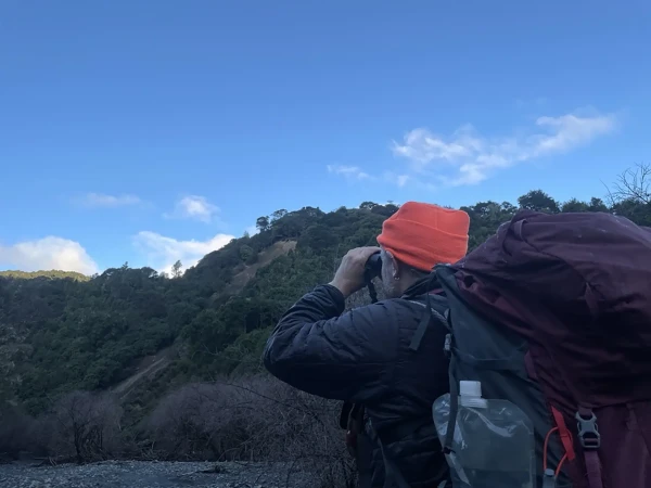 Hunter surveying land