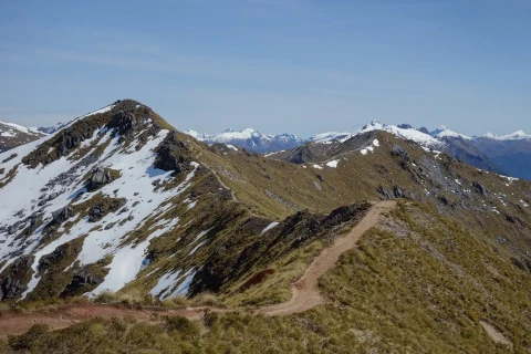 Thumbnail of Kepler Track | Tom Harris