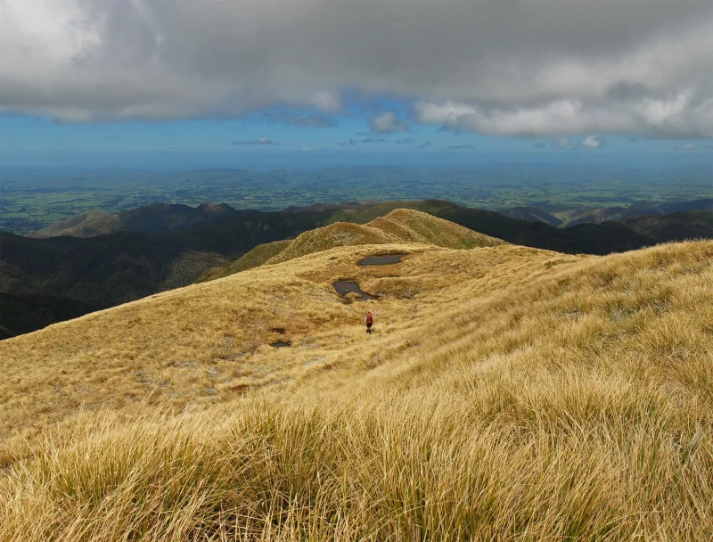 Knights Track to Pohangina Valley East Road | Jonathan Aston