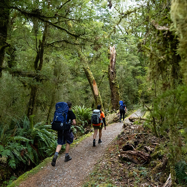 Trampers on the well maintained Milford Track