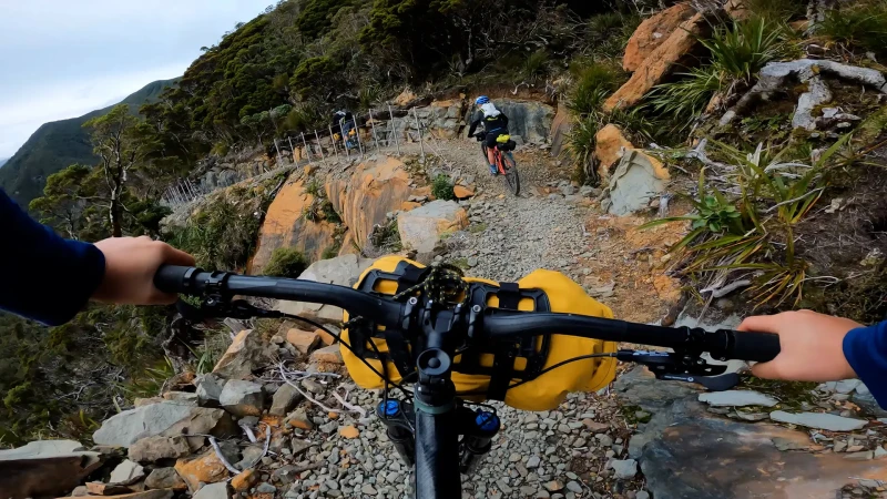 Paparoa Track