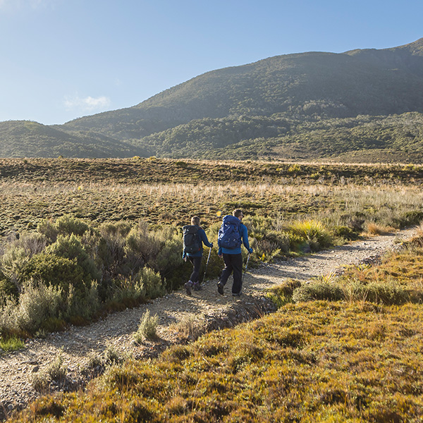 Trampers on the well maintained Heaphy Track