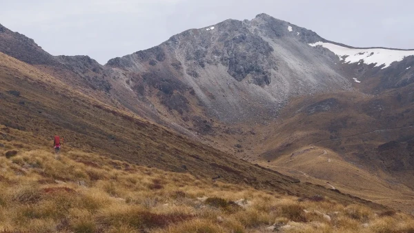 Tramper in an open grass valley with mountain in background