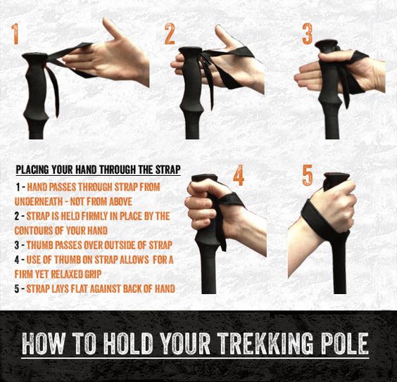 Diagram showing correct hand placement of walking pole strap from underneath with strap firmly following contour of hand