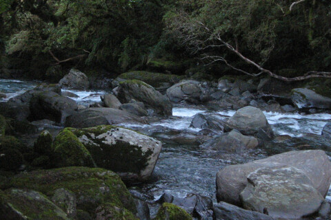 Thumbnail of West Coast River with boulders | Richard Wells